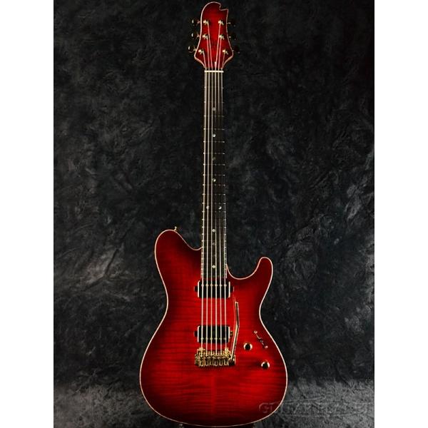 guitarplanet_sugi-ds496ir-ecm-rbr
