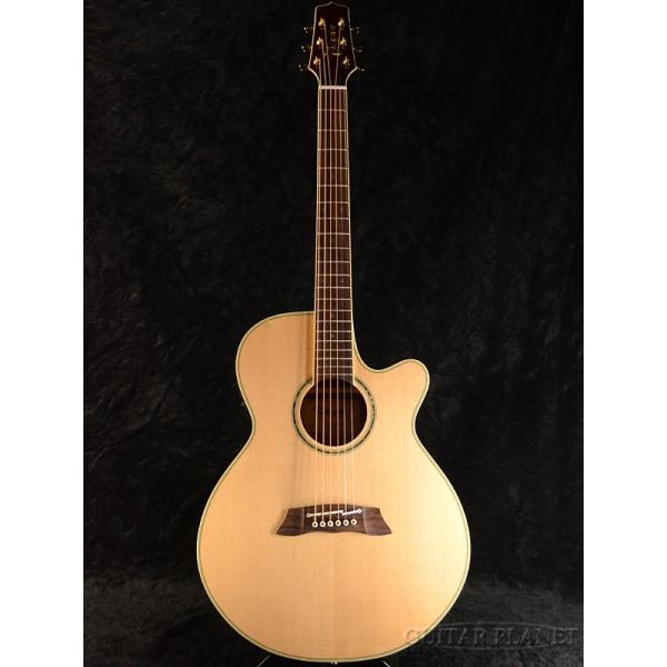 guitarplanet_takamine-tsp138c-n