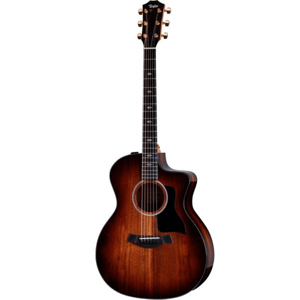 Taylor 224ce-Koa DLX C-Class Bracing 新品 《アコギ》 : ギター