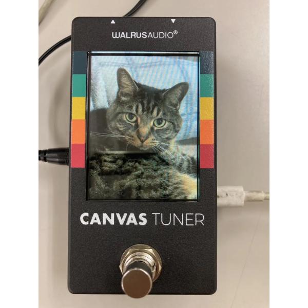 guitarplanet_wal-canv-tu