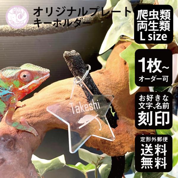 お好きな爬虫類・両生類をモチーフにキーホルダーが作れます！1枚からオーダー可能！名前入りでバックや鍵など様々なものにお使いいただけます。お子さまの幼稚園、保育園や学校等の持ち物に大活躍します。アクリルで出来ており金具部分もステンレスの為汚れ...