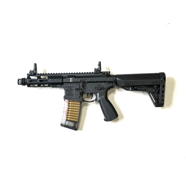 gunshop-system_gg-dm-sigma