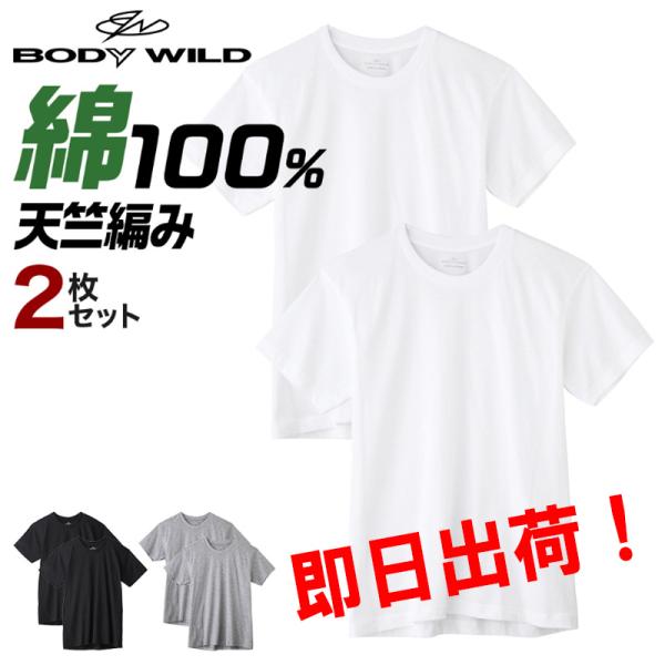 グンゼ BODY WILD クルーネック Ｔシャツ 2枚セット 綿100％ BW5013 BW5023