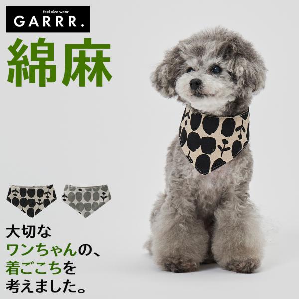 ぱんくん様 リクエスト 5点 まとめ商品 楽天市場】グンゼ 快適工房 天引きブリーフ 前開き メンズ 年間