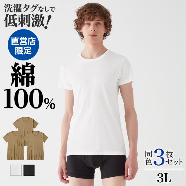Lサイズ　　Tシャツ GUNZE まとめ買い割引 グンゼ theGUNZE 綿100% クルーネックT