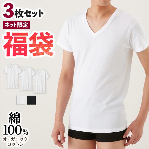 GUNZE グンゼ Vネック シャツ CK9015N Lサイズ 10点セット！ gunze_31setm9515