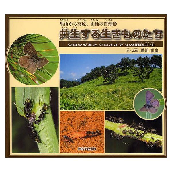 共生する生きものたち クロシジミとクロオオアリの相利共生 ぐるぐる王国 ヤフー店 通販 Yahoo ショッピング