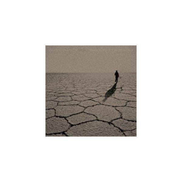 アダム・ブライアンバウム・ウィルツィー / Salero [CD]