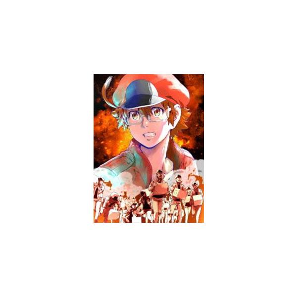 はたらく細胞black 1 完全生産限定版 Dvd Buyee Buyee Japanese Proxy Service Buy From Japan Bot Online