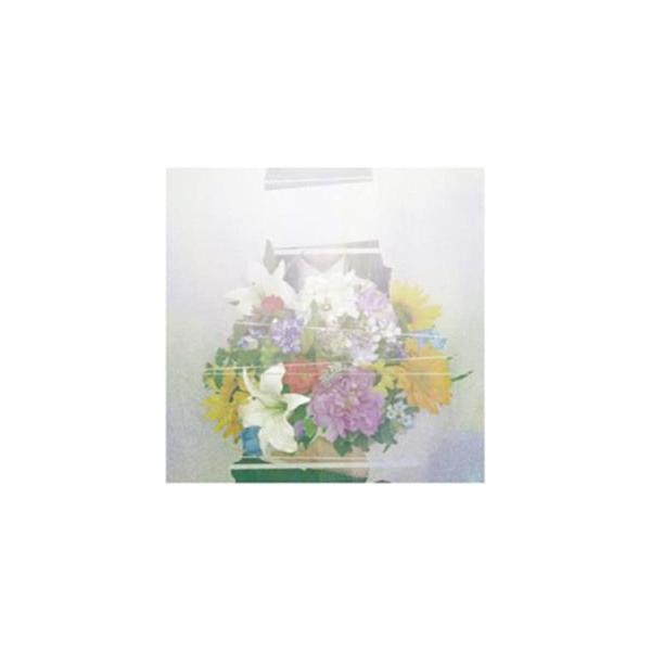 ヨルシカ / 夏草が邪魔をする [CD]