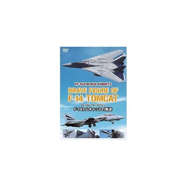 F-14トムキャットの勇姿 VF-154 ブラックナイツ DVD