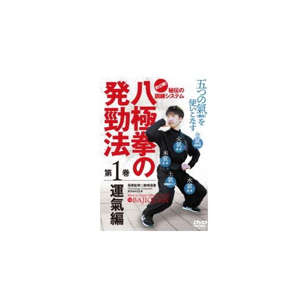 初公開!【八極拳の発勁法 〜秘伝の訓練システム〜】第1巻 運氣編 [DVD]