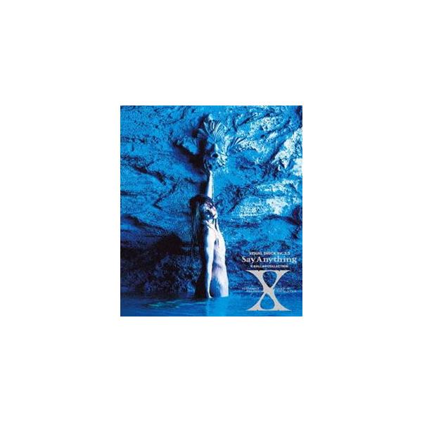 X／VISUAL SHOCK Vol.3.5 Say Anything X BALLAD COLLE...