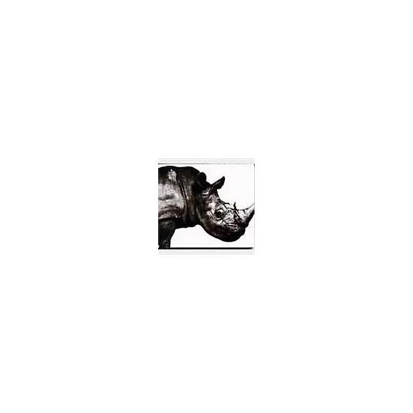 Mr.Children / 1992-1995 [CD] : ぐるぐる王国 ヤフー店 - 通販