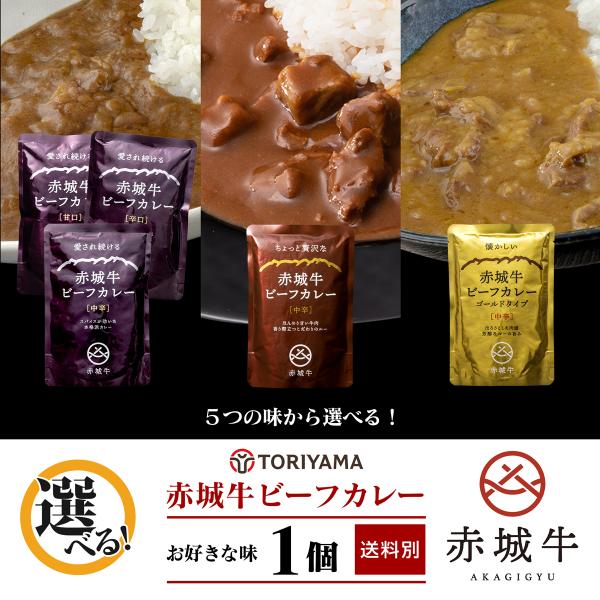 赤城牛ビーフカレー 1袋 単品 選べる5種 ブランド牛 レトルトカレー 本格 高級 赤城牛 ビーフカレー レトルト  鳥山畜産