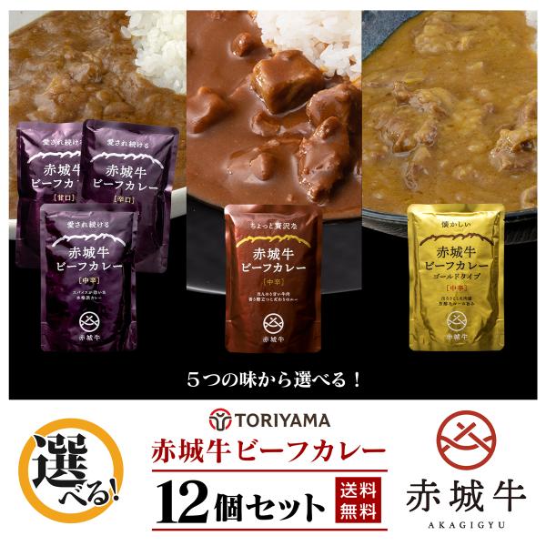 赤城牛ビーフカレー 12袋 セット 選べる5種 ブランド牛 レトルトカレー 本格 高級 赤城牛 ビーフカレー レトルト  鳥山畜産