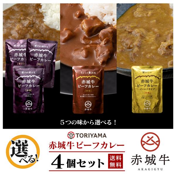 赤城牛ビーフカレー 4袋 セット 選べる5種 ブランド牛 レトルトカレー 本格 高級 赤城牛 ビーフカレー レトルト  鳥山畜産