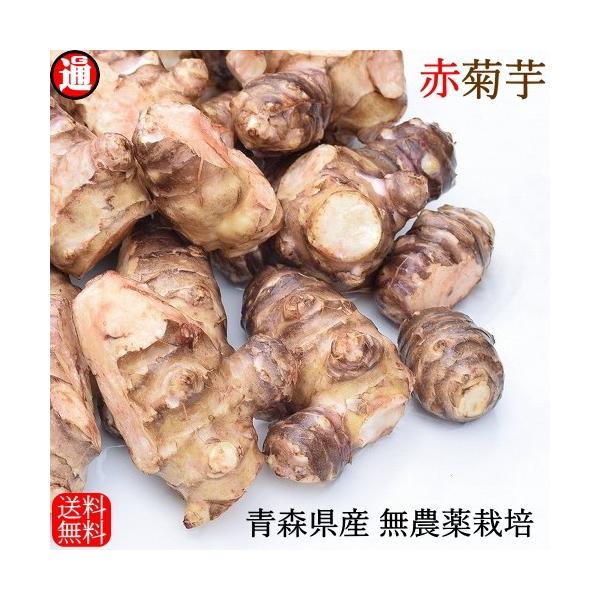 y11{\z ԋe e 1kg  ͔|Ԓ_sgp ς 󂠂 s XY e  LNC Ck