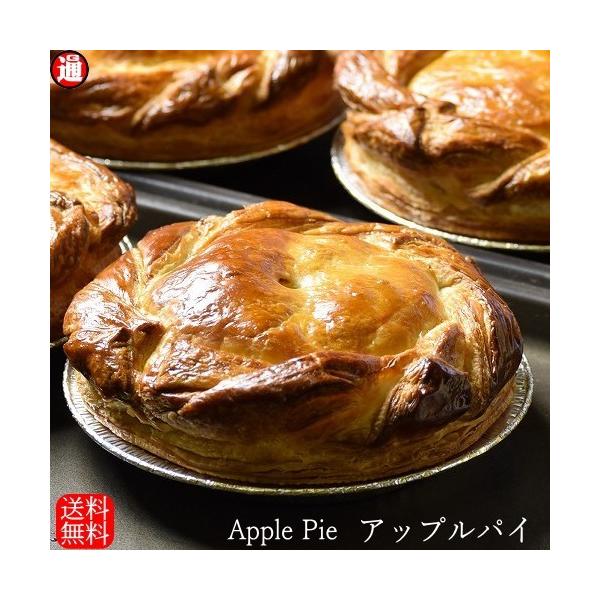 XC[c AbvpC  [W X Ղ5ȏgp 񂹃XC[c lC mَq XC[c Mtg