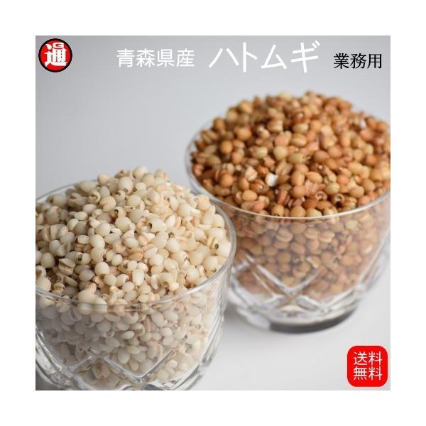 ngM   ngM  ng  ͂Ƃނ XY 5kg Ɩp ͂Ɣ ngM ͂Ƃނ G N e NCj