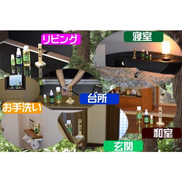 ヒバ油 10ml ヒバ油差し 青森ひば ヒバスティック 送料無料 セット 癒しの雫 ヒバ精油 ヒバ まな板 同素材 アロマ 芳香剤 消臭 虫よけ 虫除け ペット ひば油 犬 Buyee 日本代购平台 产品购物网站大全 Buyee一站式代购 Bot Online