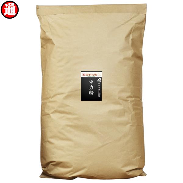 業務用 中力粉 国産 小麦粉 25kg 送料無料 青森県産 日本の小麦 地粉 国産小麦100% ホームベーカリー用パン用粉 パン うどんを打つ