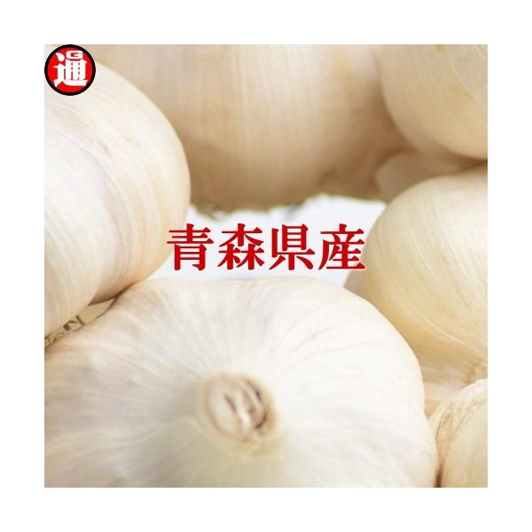 ɂɂ1kg MʃTCYȏ㍬ YҒ  󂠂 ɂɂ X XjjN X ɂɂ 1kg