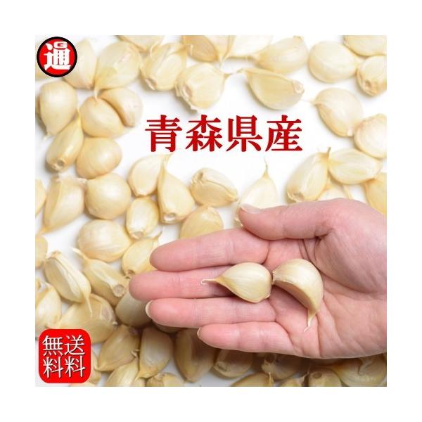 ɂɂ o 500g E 甍 YҒ  ɂɂ X XjjN X ɂɂ 500g ɂɂp Ìyɂɂ jjN