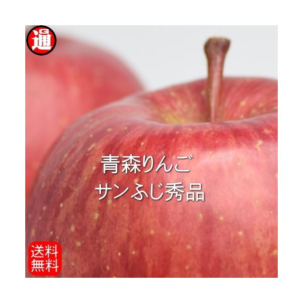 y\zX  Gi 10kg [񂲔_ Tӂ p X Yn X  XS 蕨 ʕ TtW