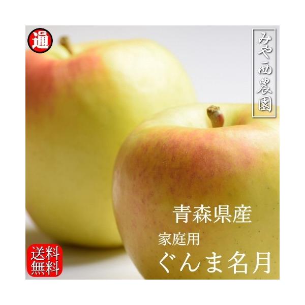 y\zܖ 5kg {_ X  󂠂  ƒp Â݂ƍƎG̃oXlC  ݂ɂ_ Qn