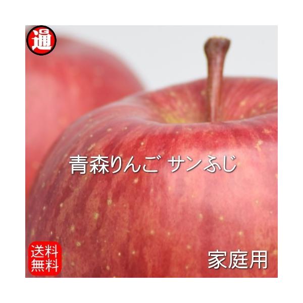 y\zX  󂠂 5kg   [񂲔_ Tӂ  ƒp 11ʁ`23ʓ X  ӂ Yn  XYS TtW