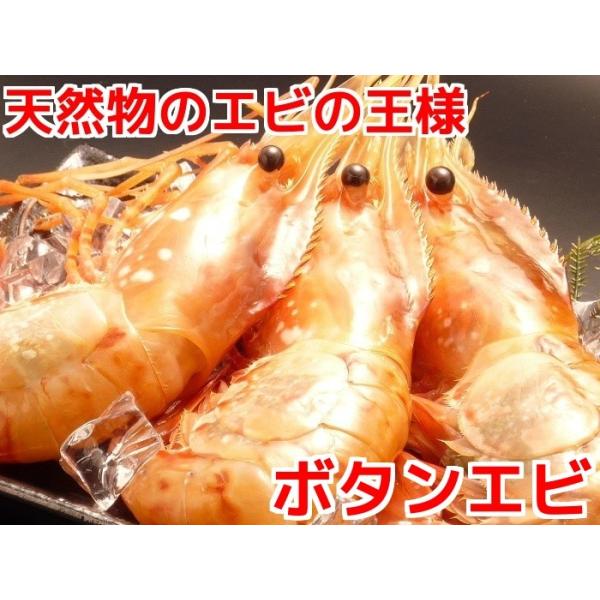 ボタンエビ 刺身 計1kg 生食 特大 有頭 殻付き 海鮮 お造り 寿司 冷凍 ギフト 蝦味噌 子持ち 卵付き 雌 メス 天麩羅 ぼたん海老 Buyee 日本代购平台 产品购物网站大全 Buyee一站式代购 Bot Online