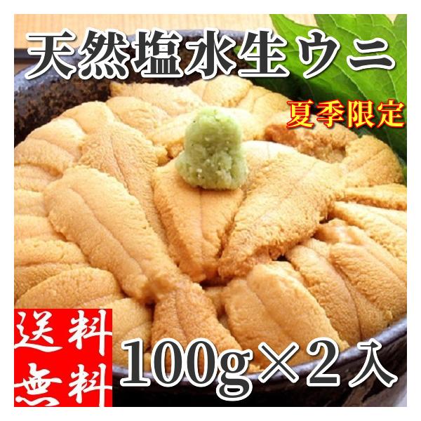 生ウニ 塩水うに 北海道産 200g (100g×2パック入) 刺身 天然 無 生ウニ 塩水うに 北海道産 200g (100g×2パック入) 刺身 天然 無