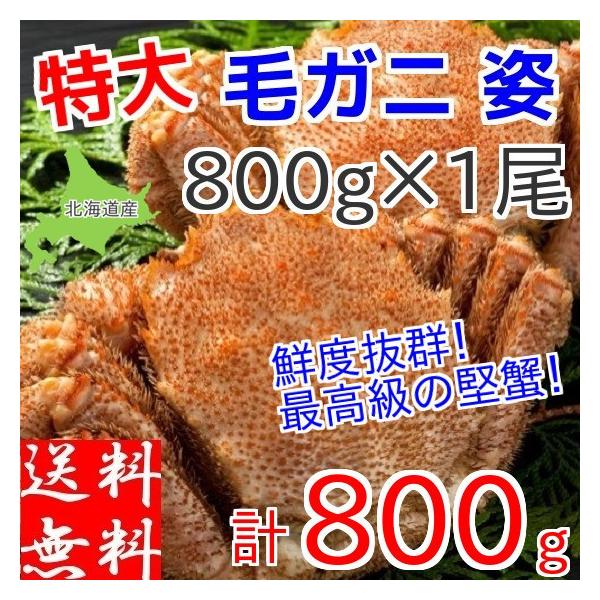 уKj  800g×1t ъI kCY {C C Ⓚ Mtg IX  O