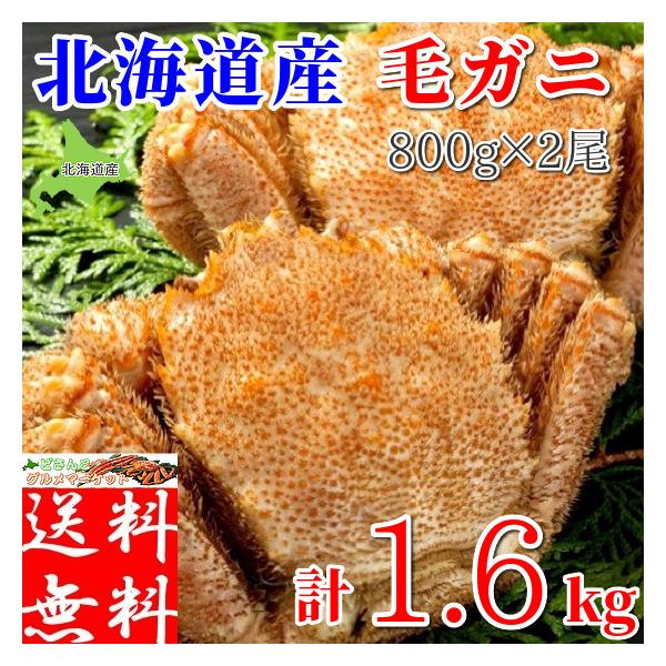уKj  kC ъI IX  O Mtg 1.6kg (800g×2) Zbg {C Ⓚ