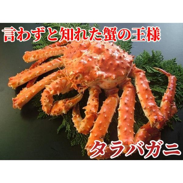 タラバガニ 足 特大 2kg 1kg 2肩 5l ギフト ボイル 冷凍 解凍のみでok 北海道加工 良品厳選 堅蟹 肩脚 たらばがに Buyee Buyee Japanese Proxy Service Buy From Japan Bot Online