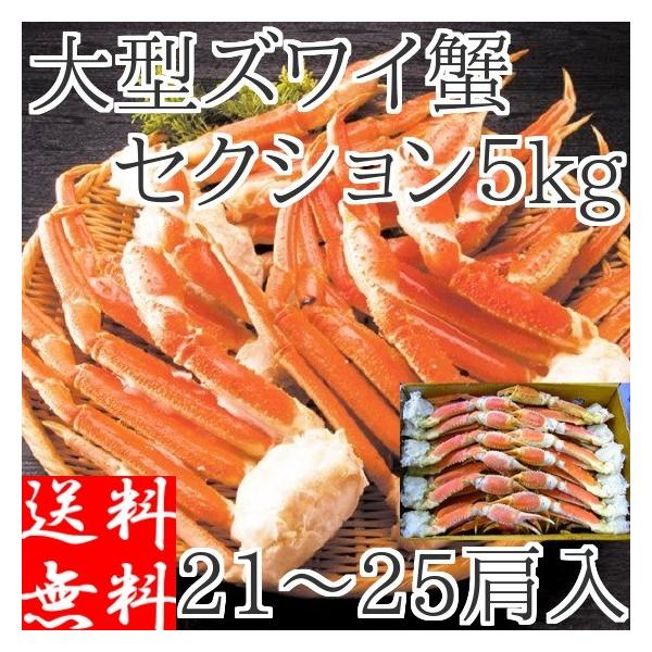 YCKj 5kg 󂠂  I K {C 23O Ⓚ Mtg Hו I r 킢I