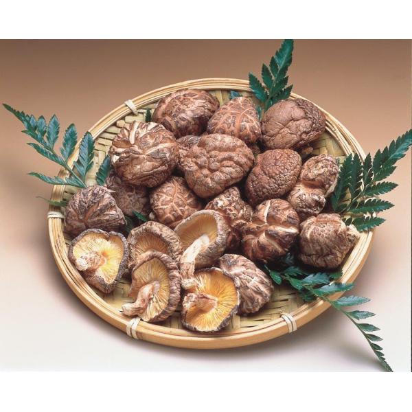 啪Y ǂ񂱒ő@啪@ǂ񂱁@VC^P@ő