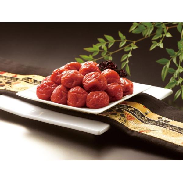 썂~ ~@a̎R@~@~@~@썂~@