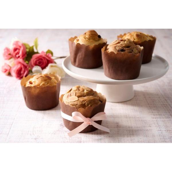 {[j@x[mMtgZbg(JbvfjbV) Mtg v[g J 蕨 i