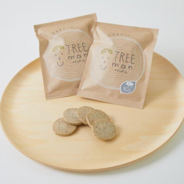 TREEmanNbL[@ Mtg v[g J 蕨 i