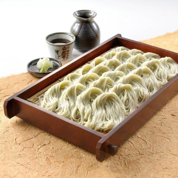 R΋l@KJ20 Mtg v[g J 蕨 i