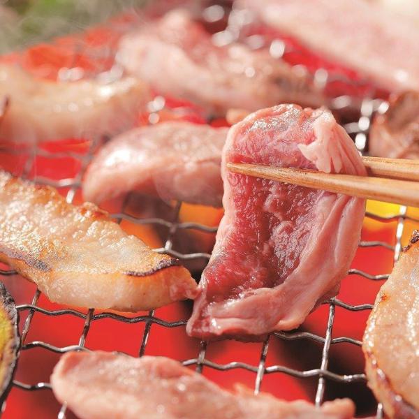 O@ēZbgEOďC ē̂tMTY-20G Mtg v[g J 蕨 i