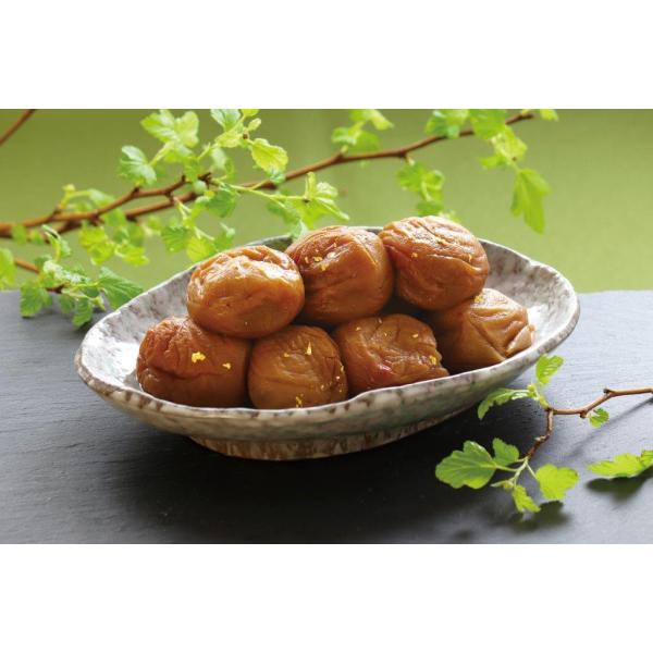 uIBcʉv~ dā@썂~@a̎R@~@~@~@@