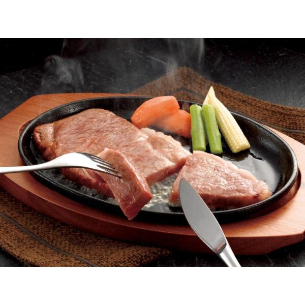 Ε 2025  @{u嗄͔ ݂₿v{苍[XXe[L@Mtg v[g J 蕨 i