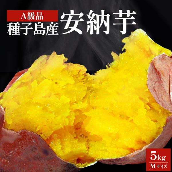 送料無料 種子島 安納芋 Mサイズ 5kg 贈答用 A品 家庭用 焼き芋 鹿児島