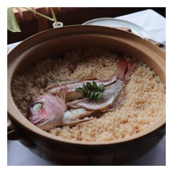 爆買 炊飯器に入れるだけ 簡単鯛めしセット 2合用 タイ 鯛 鯛めし 鯛飯 鯛メシ 鹿児島県産 ご当地 グルメ  ギフト 特産品 食品 食材