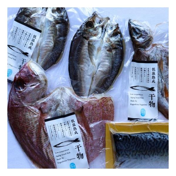 爆買 旬の朝どれ干物セット 4種類 干し物 おつまみ おかず 鯛 むじょかさば カマス いさき 鹿児島県産 ご当地 グルメ  ギフト 特産品
