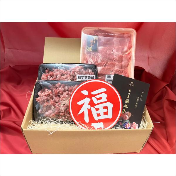 爆買 鹿児島県産 さつま町 黒毛和牛 福永畜産 切り落とし300g&ミンチ肉250g×2P 5人前 黒毛和牛
