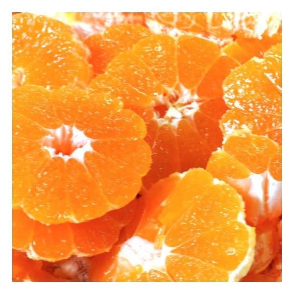 大里みかん 4kg ギフト 特産品  鹿児島県産